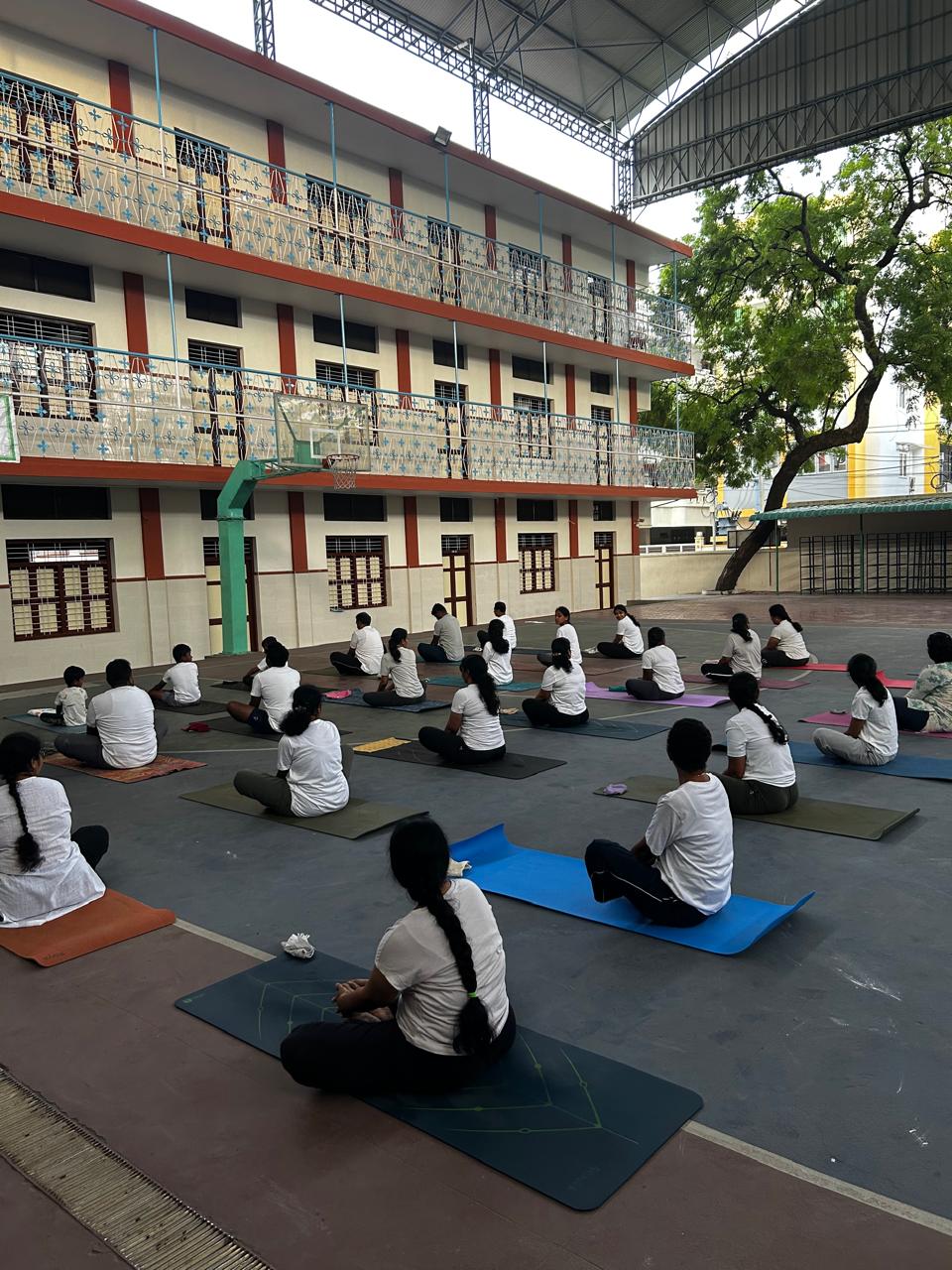Online Yoga Session